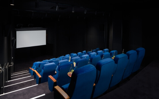 Rydges Sydney Central - Cinema 1 HR
